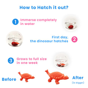Hatching Growing Dinosaur Egg