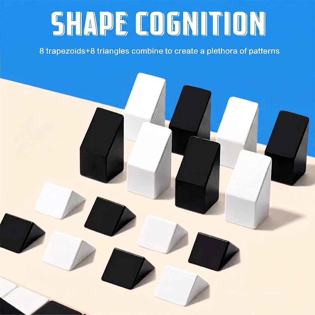 Dual Color Logic Puzzle