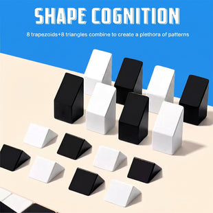 Dual Color Logic Puzzle