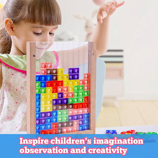 Montessori wooden puzzle toy/ Acrylic Tetris